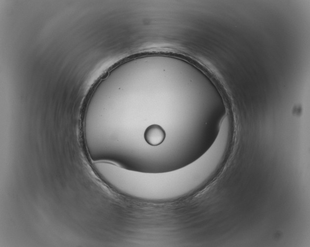 X0000114731277200911121746