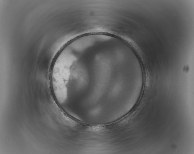 X0000114731278200911121746