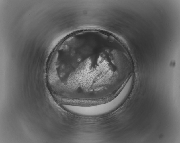 X0000114731279200911121746