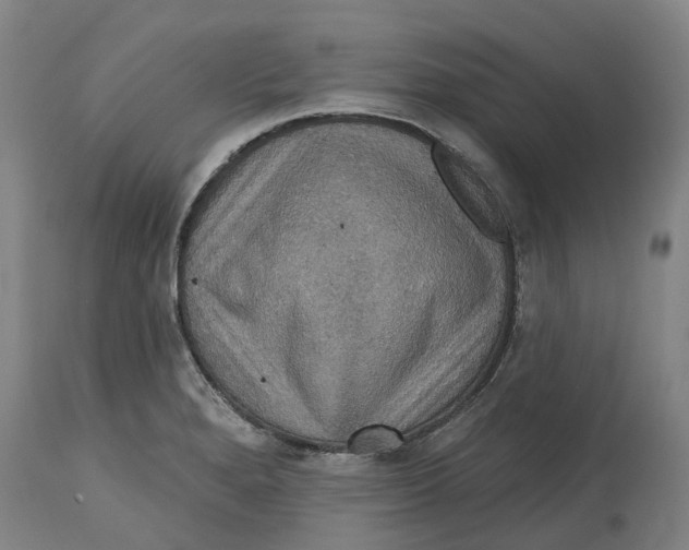 X0000114731280200911121746