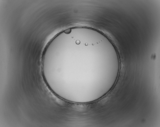 X0000114731286200911121746