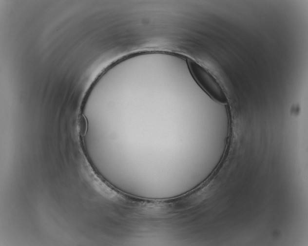 X0000114731288200911121746