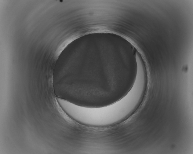X0000114731289200911121746