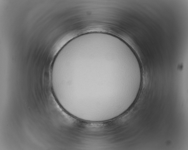 X0000114731290200911121746