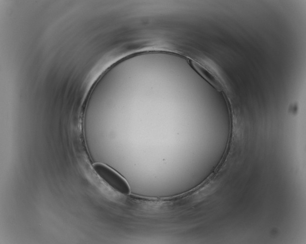 X0000114731292200911121746