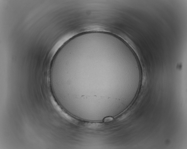 X0000114731293200911121746