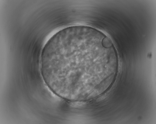 X0000114731294200911121746