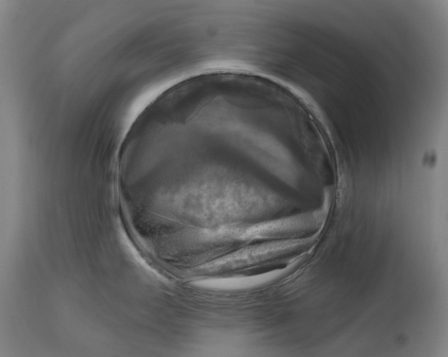 X0000114731295200911121746