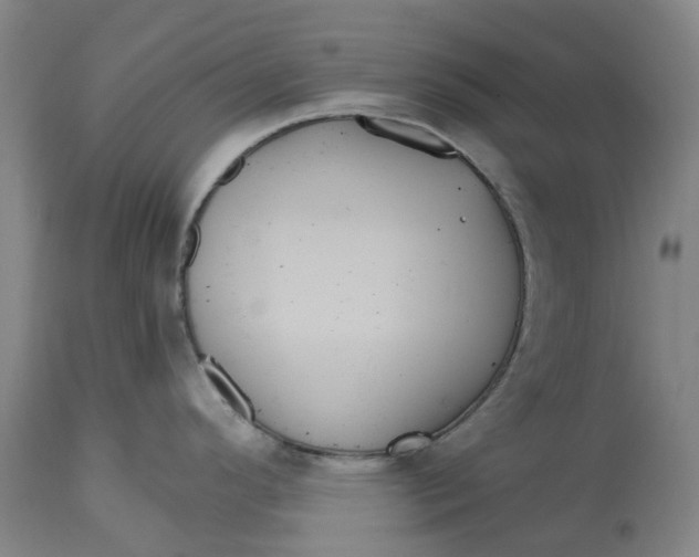 X0000114731296200911121746