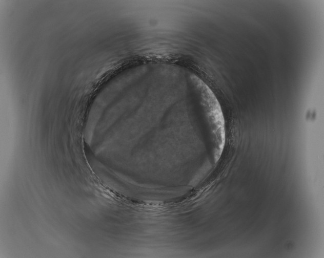 X0000114731297200911121745