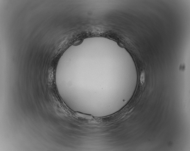 X0000114731299200911121745