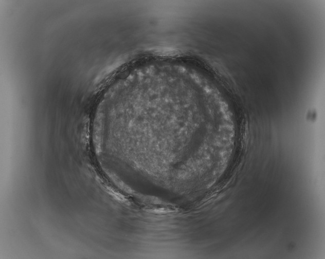 X0000114731301200911121745