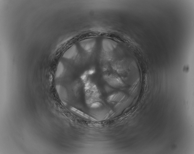 X0000114731302200911121745