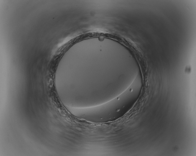 X0000114731303200911121745