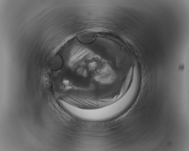 X0000114731305200911121746