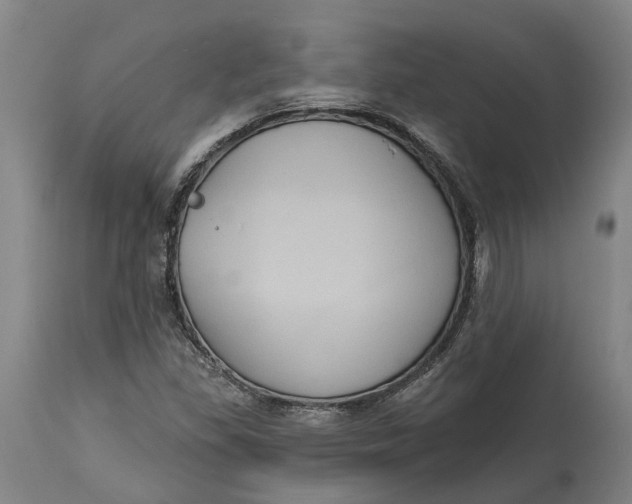 X0000114731309200911121746
