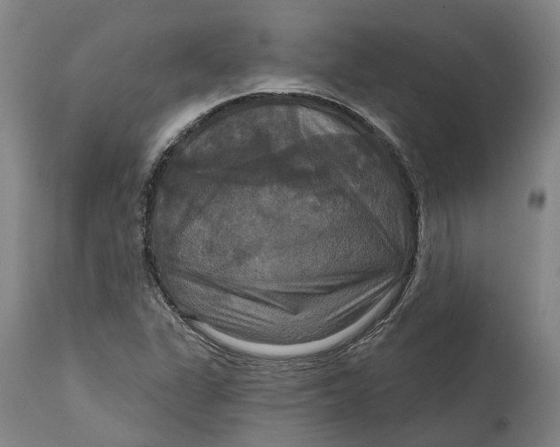 X0000114731311200911121746