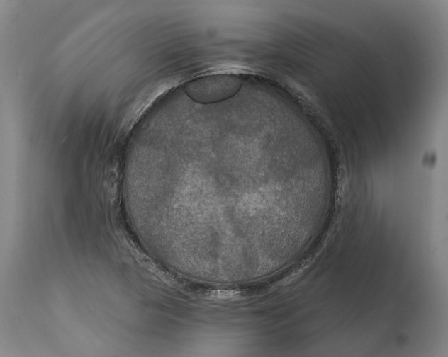 X0000114731313200911121746