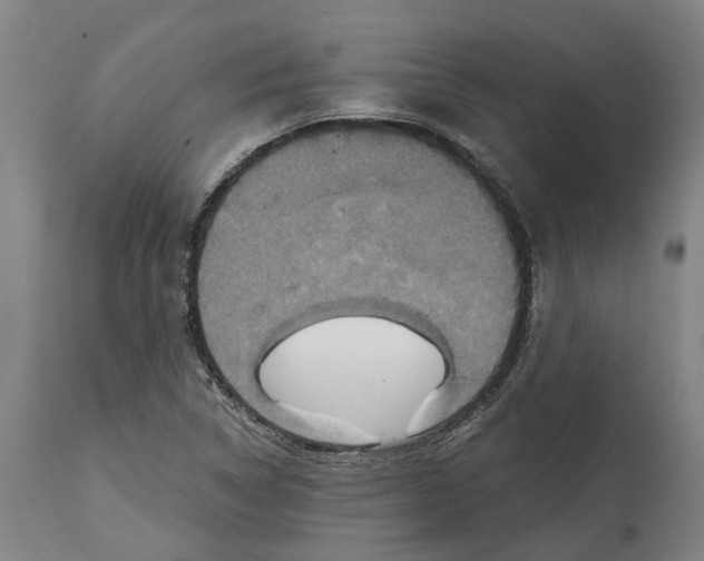 X0000114731314200911121746