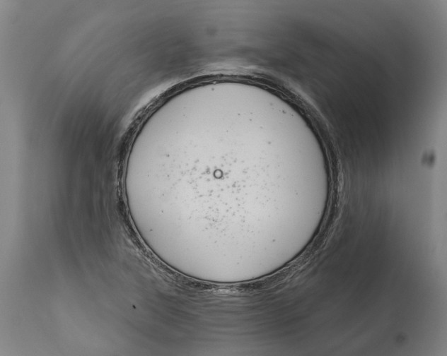 X0000114731315200911121746