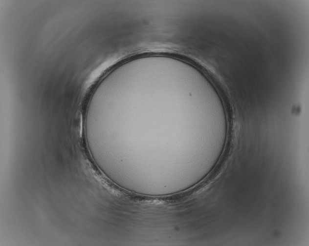 X0000114731317200911121746