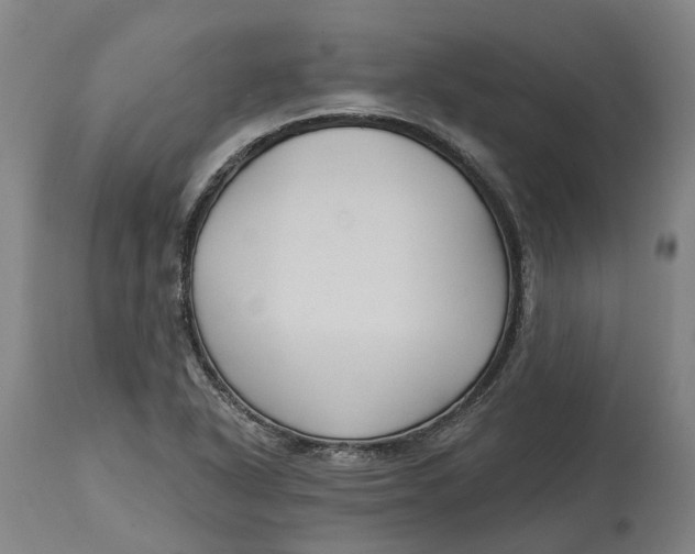 X0000114731318200911121746