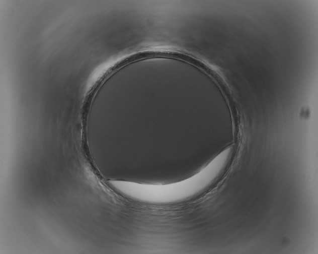 X0000114731319200911121746
