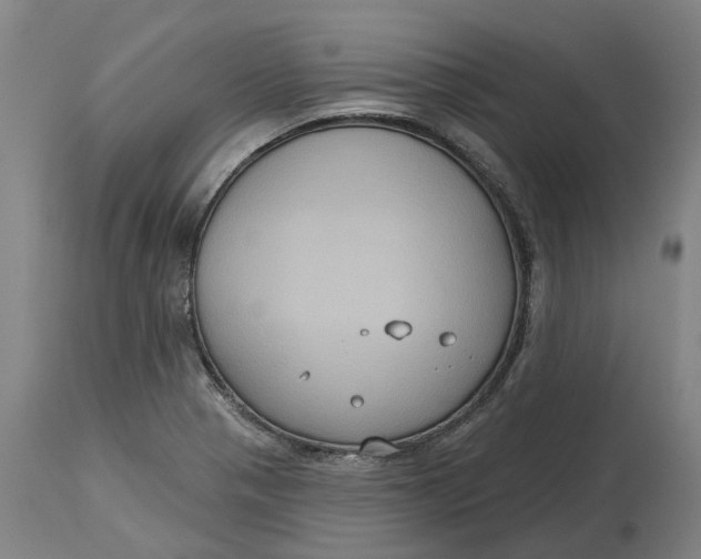 X0000114731321200911121746