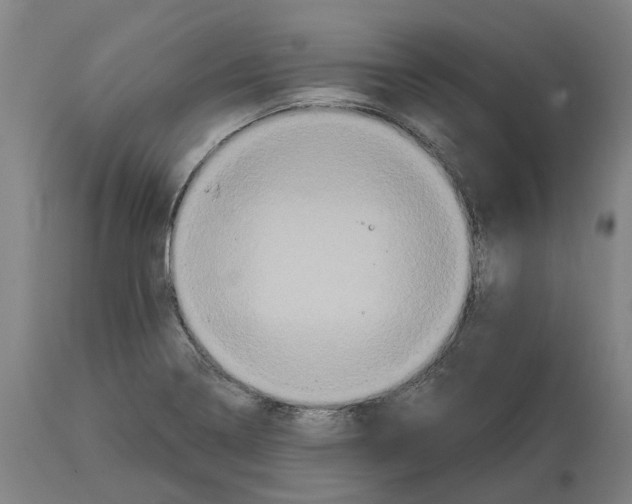 X0000114731322200911121746