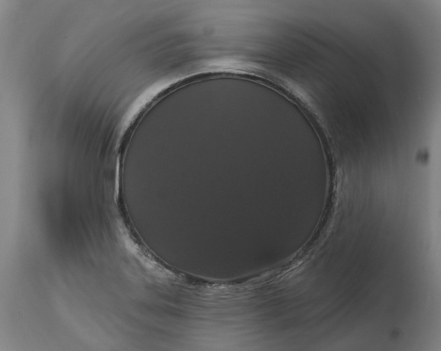 X0000114731323200911121746