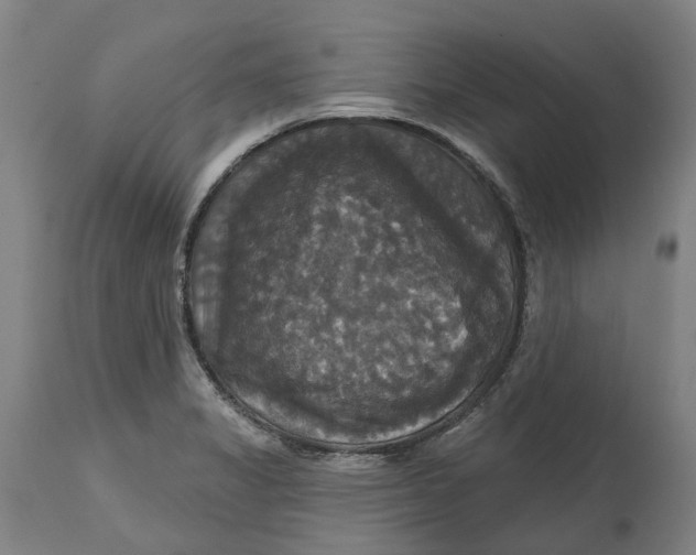X0000114731325200911121746