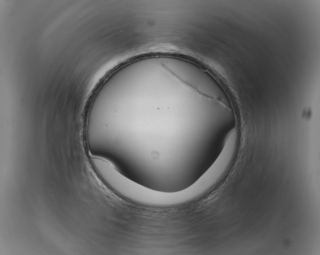X0000114731326200911121746
