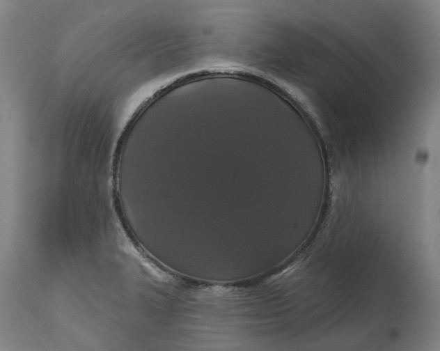 X0000114731327200911121746
