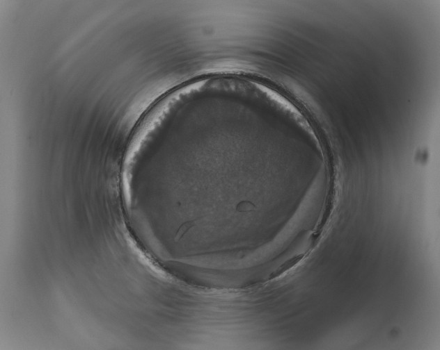 X0000114731329200911121746