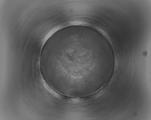 X0000114731330200911121746