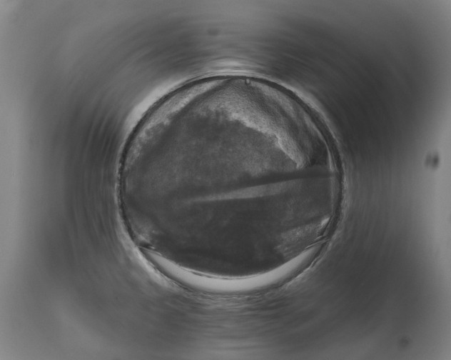 X0000114731333200911121746