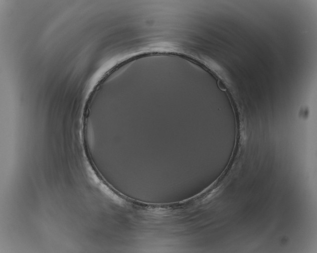 X0000114731334200911121746