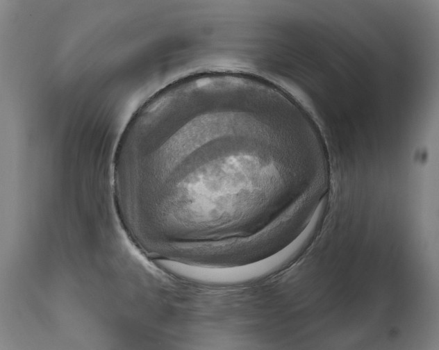 X0000114731335200911121746