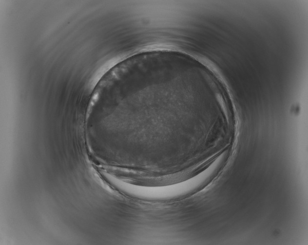 X0000114731337200911121746