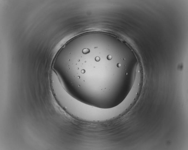 X0000114731338200911121746
