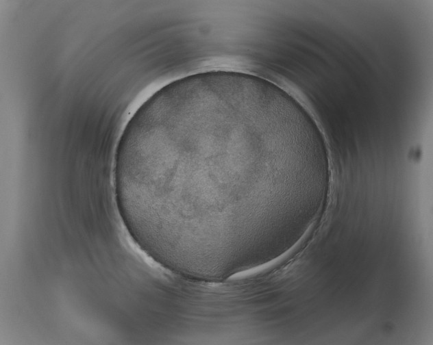 X0000114731339200911121746