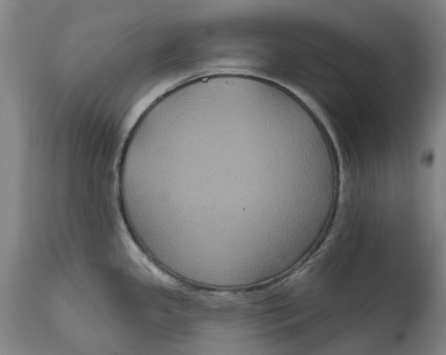X0000114731341200911121746