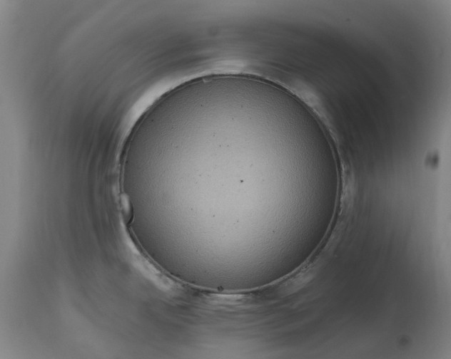 X0000114731342200911121746