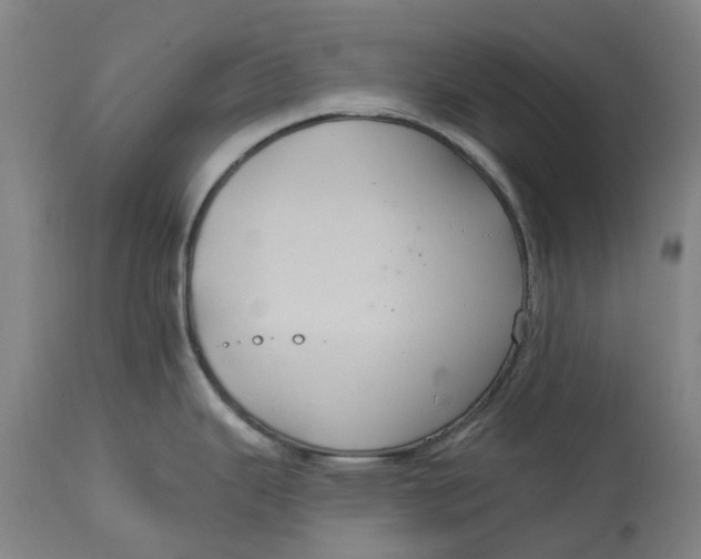 X0000114731343200911121746