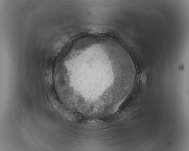 X0000114731348200911121745