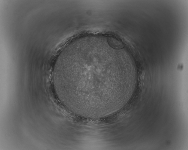 X0000114731349200911121745