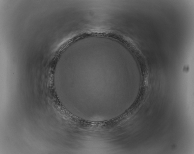 X0000114731350200911121745