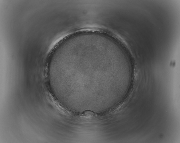X0000114731352200911121745
