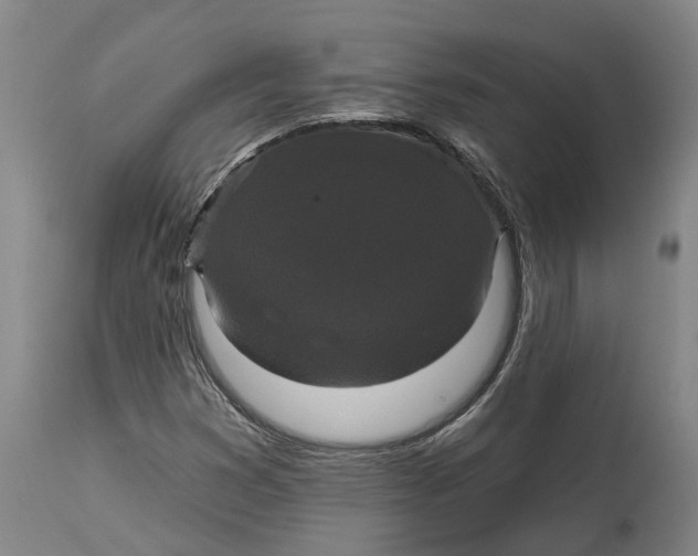 X0000114731353200911121745