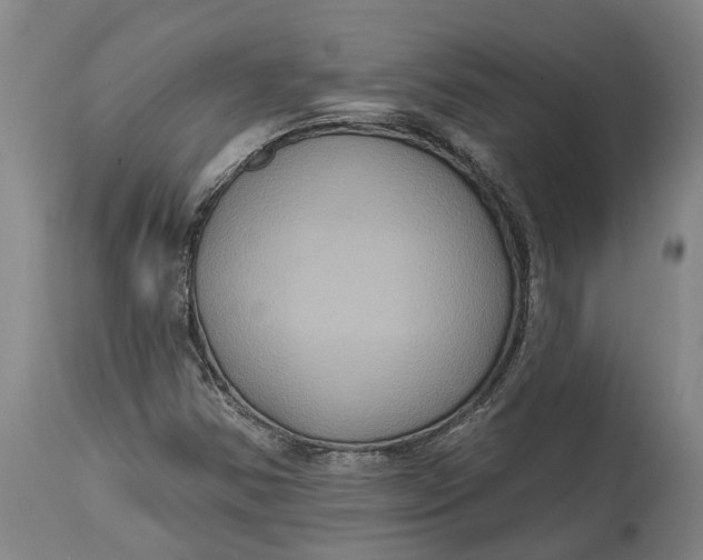 X0000114731354200911121745